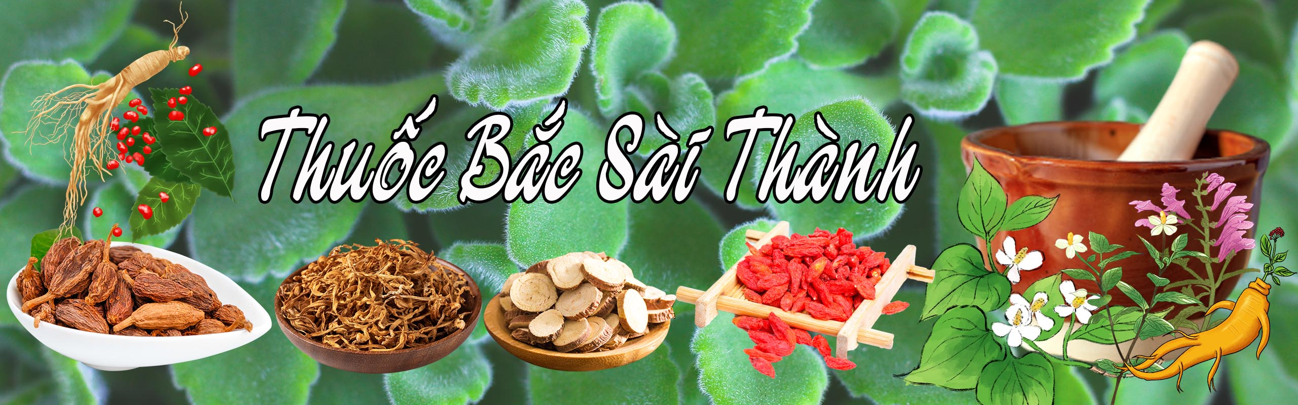 Thuốc Bắc Sài Thành