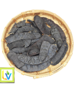 Bồ Kết Trái