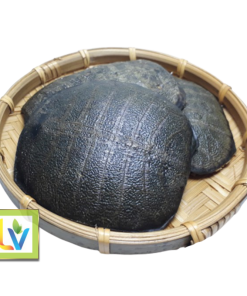 Miết Giáp