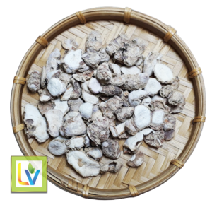 Địa Liền