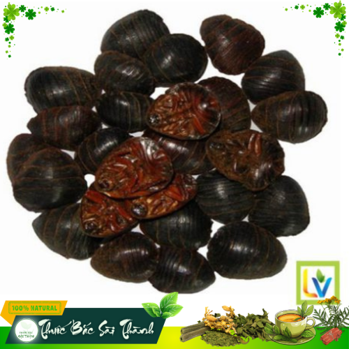 Thổ Miết Trùng