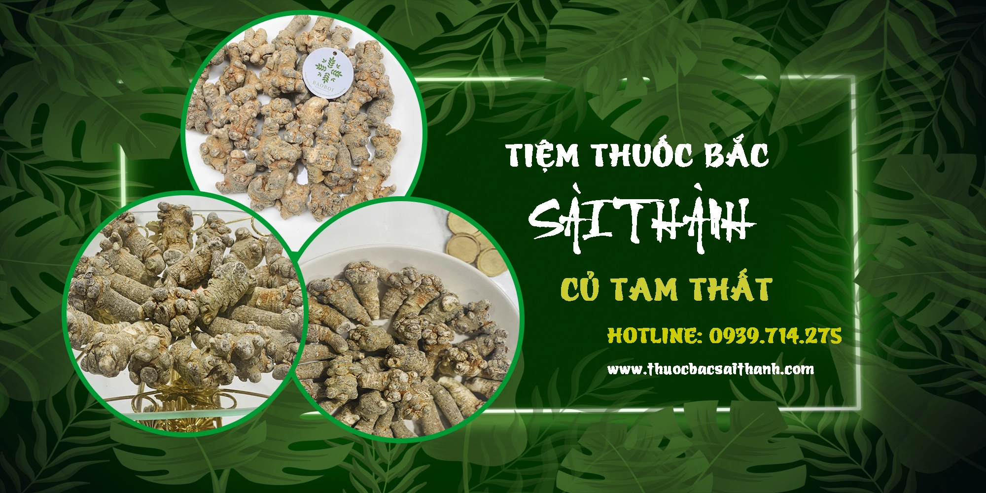 CỦ TAM THẤT