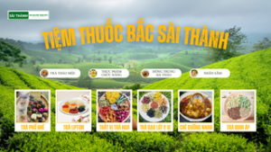 thuốc bắc sài thành