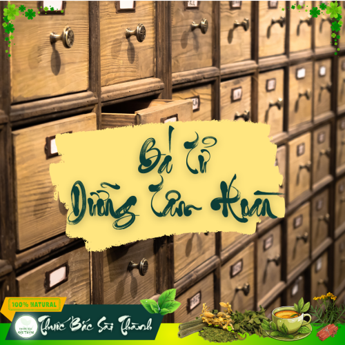 Bá Tử Dưỡng Tâm Hoàn