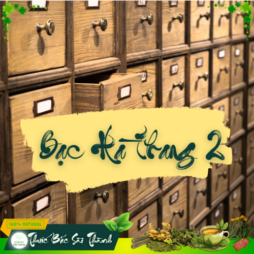 Bạc Hà Thang II